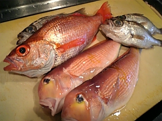 海鮮和食家いしけんブログ 高級魚揃い踏み